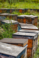 Fototapeta na wymiar Outdoor grassland beekeeping beehive