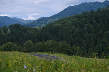 Asphalt road among forest and mountains