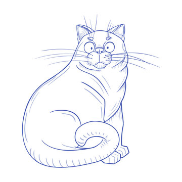Hand-drawn sketch. Vector illustration of a cat. Linear drawing. Funny fat cat. The funny cat is sitting.