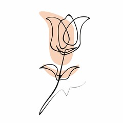 illustration of a rose flower with one line art