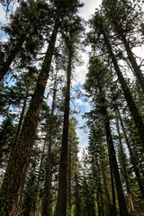 Fototapeta premium Lassen Volcanic National Park, California USA