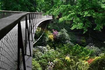 Photo of a bridge over blooming trees
