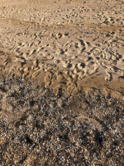  Footprints in the sand.