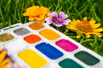 Selective focus on yellow flower, blurred opened watercolor paints on a background of green grass and flowers yellow, red on the grass. Drawing learning concept