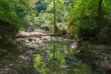 Mountain riverbed, summer sunny day, Aminov Nature Park Russia, Adygea region, traveling in the wild.