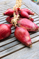 A bunch of red tropea onions - obrazy, fototapety, plakaty