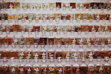 Many glass bottles with oily floral aromatic perfume