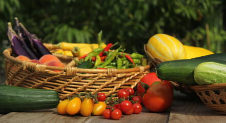 Organic Summer Vegetable Harvest on Table Outdoors on Farm