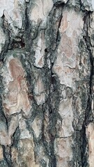 bark of a tree