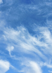 Fototapeta premium white clouds in the blue sky
