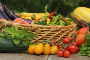 Organic Summer Vegetable Harvest on Table Outdoors on Farm