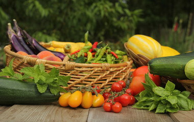 Organic Summer Vegetable Harvest on Table Outdoors on Farm