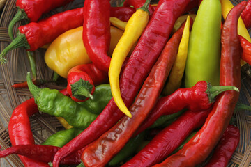 Colorful Basket of Peppers at a Farmers Market Close up