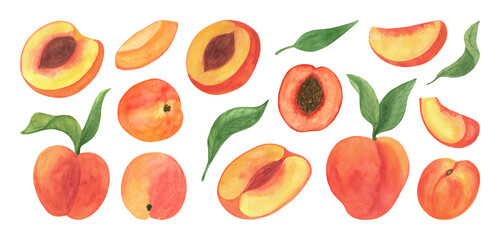 Fototapeta na wymiar Cute peach fruit watercolor clipart, fresh summer fruit. Illustrations of peach branch with green leaves. Isolated on white background.