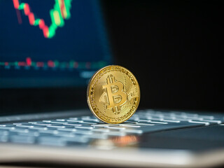 Bitcoin moneta kryptowaluta leży na laptopie w tle wykres wyceny z rynku wzrosty - obrazy, fototapety, plakaty