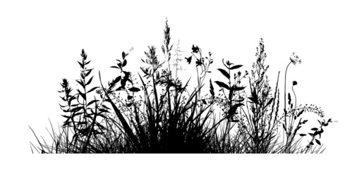 Obraz premium Grass silhouette. Monochrome grass with flowers. Vector illustration