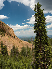 Rock slide and trees as seen from mid-way up Pikes Peak Colorado