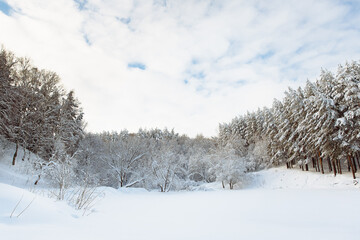 Snowy winter forest against a cloudy sky