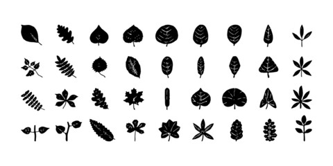 Naklejka na ściany i meble Set of leaves and plants isolated on white background. Vector illustration