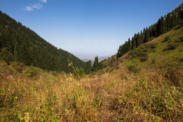 landscape in the mountains