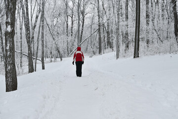 Walking in the Winter Woods