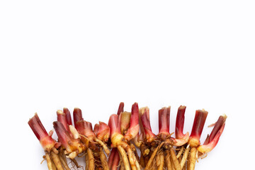 Sliced finger root on white background.