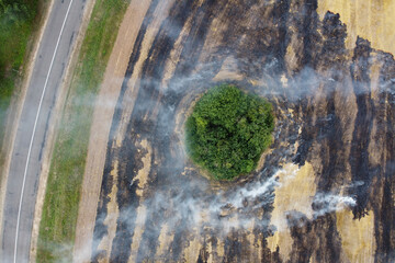 Aerial view of burning field with smoke and road