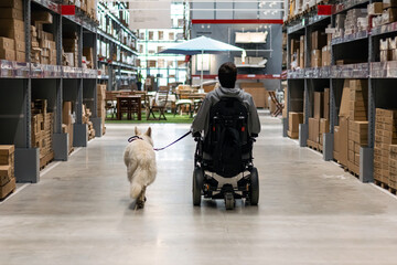 Service dog giving assistance to disabled person on wheelchair.