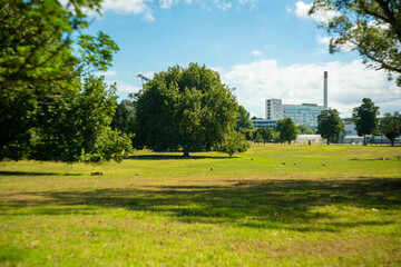 ニュージーランドのオークランドの観光名所を観光している風景 Scenery of sightseeing in Auckland, New Zealand.