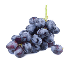 Bunch of ripe dark blue grapes Isolated on white background. Fresh fruits.
