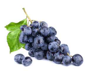 Bunch of ripe dark blue grapes in water drops with green leaf isolated on white background.
