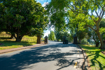 ニュージーランドのオークランドの観光名所を観光している風景 Scenery of sightseeing in Auckland, New Zealand.