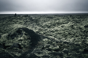 Eldhraun moss-covered lava field in Iceland