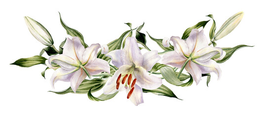 Watercolor lilly flower wreath. Floral bouquet. Botanical illustration