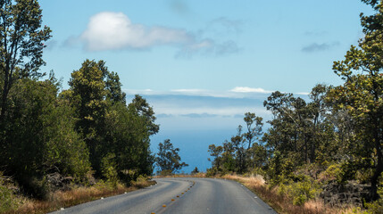 Road in Hawaii Hilo