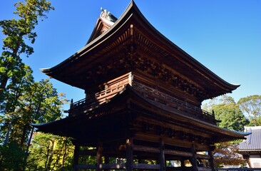 Fototapeta premium 紅葉の鎌倉 円覚寺