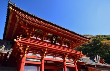 Fototapeta na wymiar 鎌倉　鶴岡八幡宮