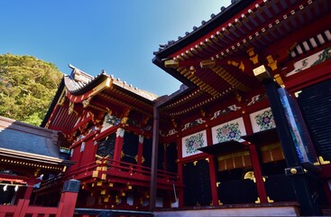 鎌倉　鶴岡八幡宮