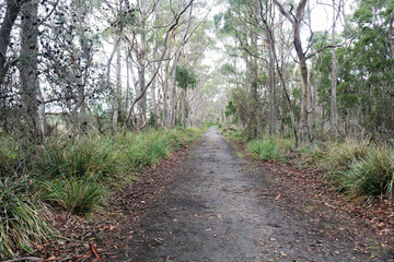 Cape Queen Elizabeth Track Bruny Island Tasmania Australia. Hiking and bushwalking trail