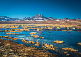Vado del Río Putana, Atacama Chile