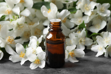 Obraz na płótnie Canvas Jasmine essential oil and fresh flowers on grey table