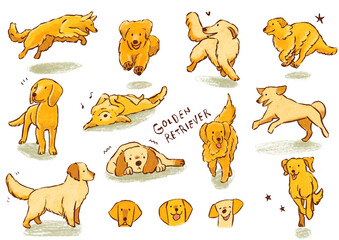 動物、犬、ペット、かわいい、イラスト、集、コレクション、わんこ、愛玩動物、子犬、挿絵、ブリード、仔犬、こいぬ、哺乳類、茶色、レトリーバー、ゴールデン、ゴールデンレトリーバー、レトリバー、金色、遊び、跳ねる、飛び跳ねる、顔、表情 © moko!sketches