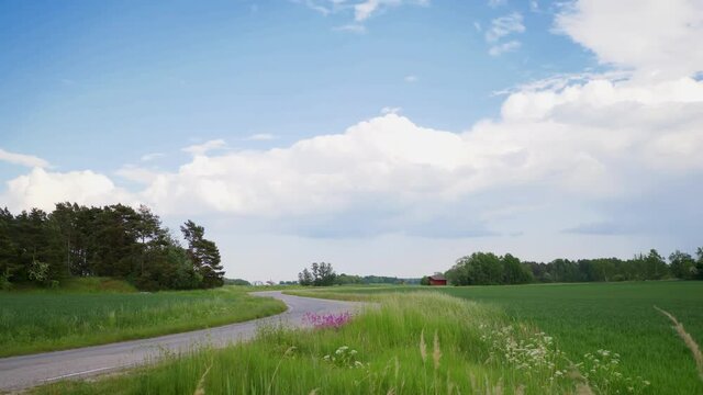 Landscape of a farm in the Countryside, small house and big green field in a farm. Walk way to the house. Beautiful blue sky in sunny day
