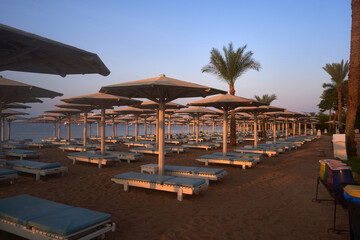 Umbrellas and sun loungers at luxury tropical resort on coral beach in the Red Sea. Resort complex on Red Sea. Typical resort beach.