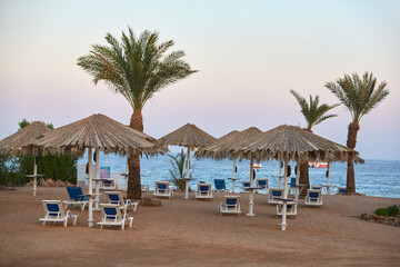 Umbrellas and sun loungers at luxury tropical resort on coral beach in the Red Sea. Resort complex on Red Sea. Typical resort beach.