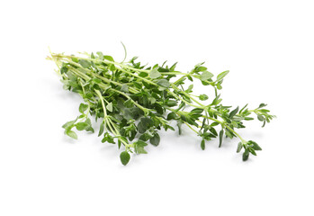 Bunch of aromatic thyme on white background. Fresh herb