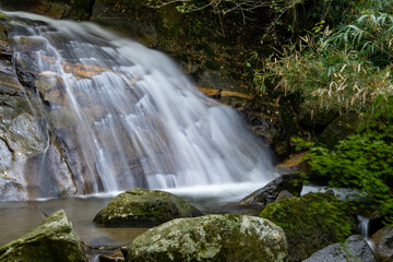 water flow is in rocky area in forest, JAPAN.