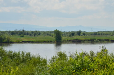 A building with trees