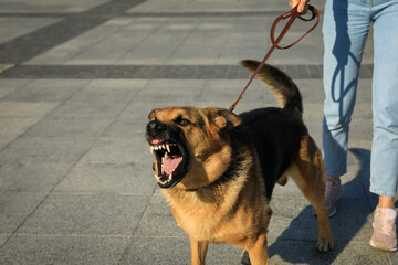 Woman with her aggressive dog outdoors, closeup - obrazy, fototapety, plakaty