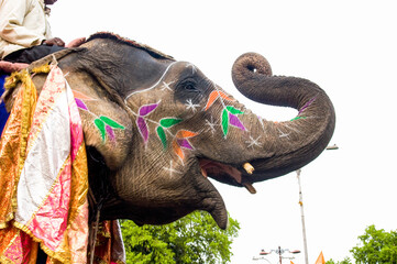 Colorful hand painted elephant , Holi festival , Jaipur, Rajasthan, India	